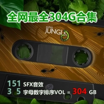 Audiojungle 去水印大合集 304G [持续更新]
