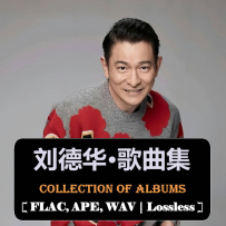 《刘德华-歌曲集》合集(319首+77套无损专辑) [夸克 & 百度]